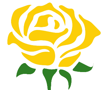 Yellow Rose